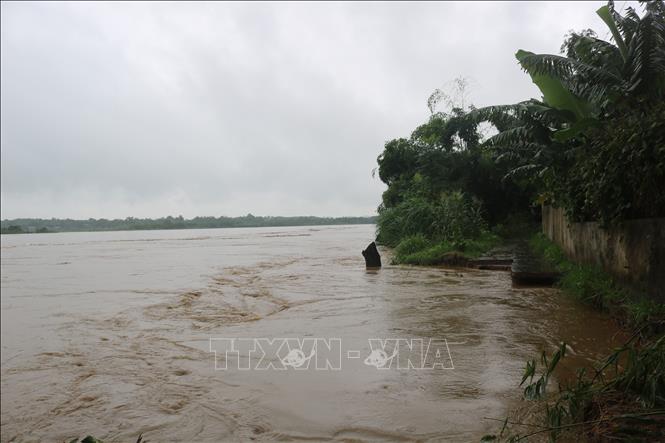 Phú Thọ tập trung ứng phó với mưa lũ