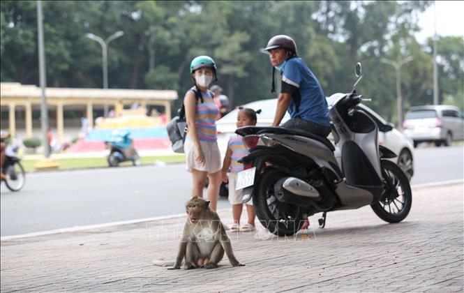 Cảnh báo người dân không tự ý thả động vật hoang dã đang nuôi nhốt ra tự nhiên