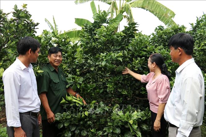 Cựu chiến binh tiên phong trong các phong trào thi đua yêu nước