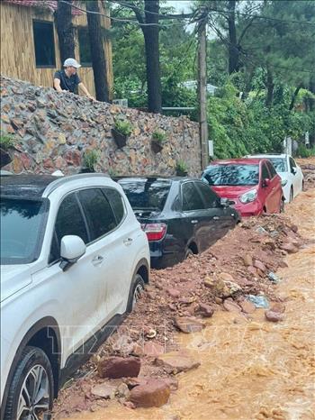 Sóc Sơn (Hà Nội): Đánh giá nguyên nhân, ứng phó với xói lở đất đồi rừng