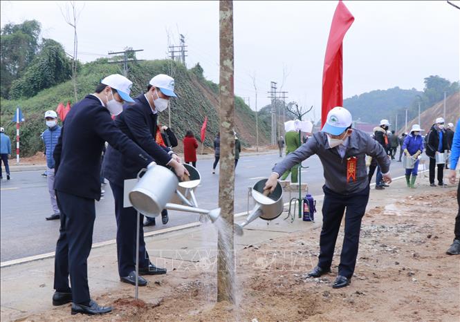 Tết trồng cây - nét đẹp văn hóa ngày Xuân