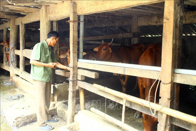 Vươn lên làm cuộc đời sau vấp ngã