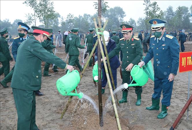 Năm 2022, toàn quân phấn đấu trồng 3,3 triệu cây phân tán và gần 2.500 ha rừng