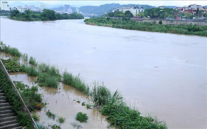 Nhiều thủy điện nhỏ ở Lào Cai được 'hồi sức tích cực' nhờ lũ đầu mùa