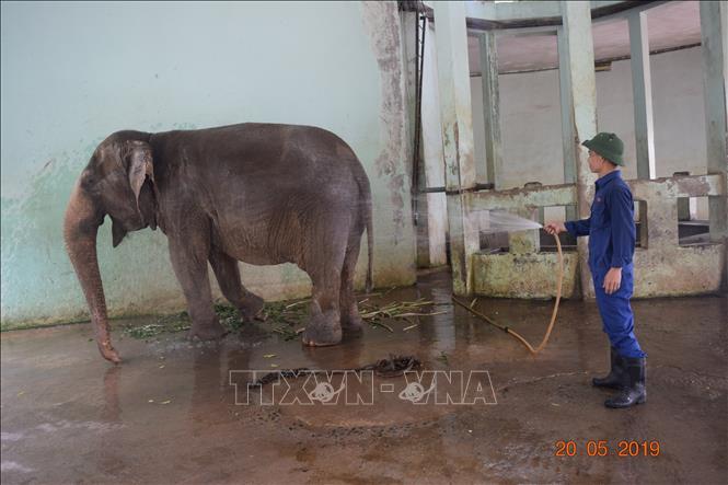 Hà Nội: Thực hiện nhiều biện pháp chống chọi với nắng nóng