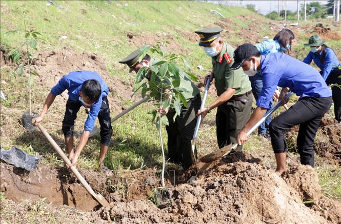  Cần Thơ: Phát động 'Tết trồng cây đời đời nhớ ơn Bác Hồ'