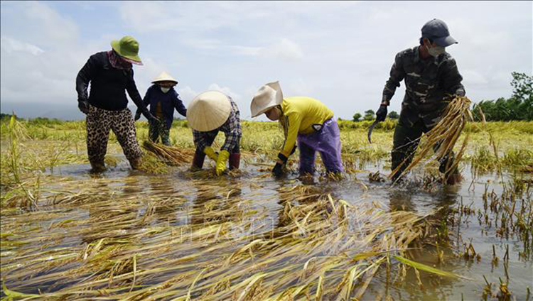 Thời tiết ngày 7/4: Nam Bộ mưa rào và dông, biển động 