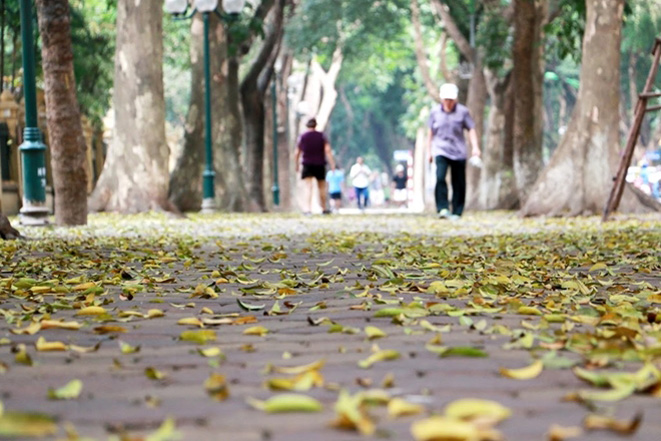 Thời tiết ngày 29/10: Biển Đông có gió giật cấp 9, mưa to ở Trung Bộ