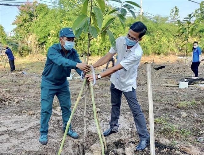 Tạo điều kiện để mọi người tham gia trồng cây, trồng rừng