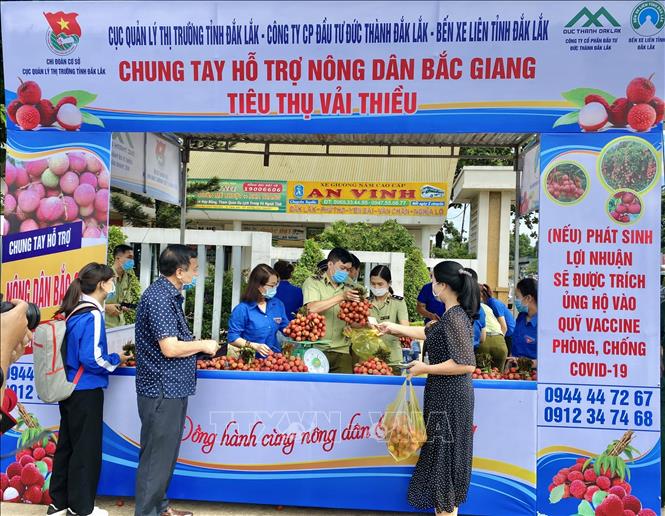 Đắk Lắk chung tay hỗ trợ tiêu thụ vải thiều Bắc Giang