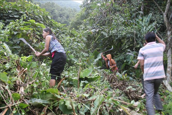 Hỗ trợ đồng bào dân tộc thiểu số xây nhà, khai hoang, phục hóa, cải tạo đất