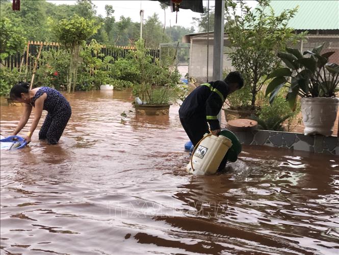 Bình Phước: Lũ lụt gây ngập úng gần 150 ha cây trồng, hoa màu