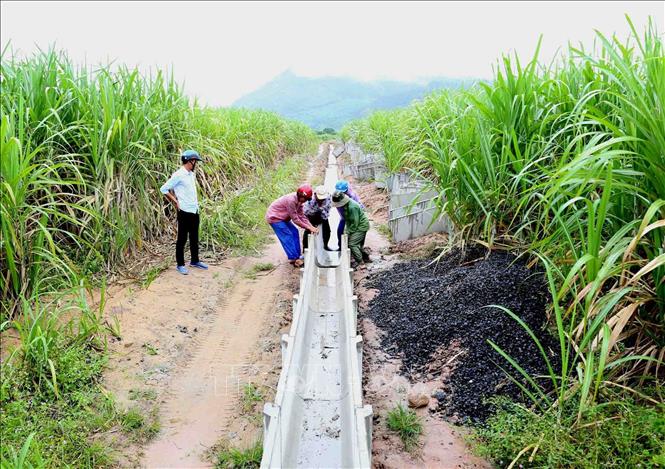 Chủ động tháo gỡ 'điểm nghẽn', đẩy mạnh công nghiệp hóa nông nghiệp