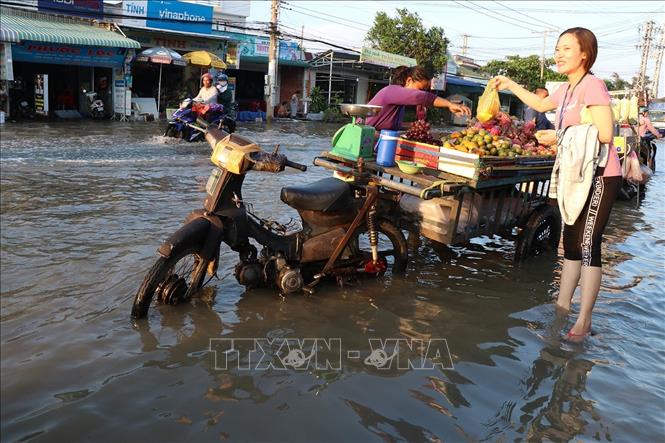 Mỗi tháng, Bạc Liêu có thể hứng chịu 2 đợt triều cường bất thường