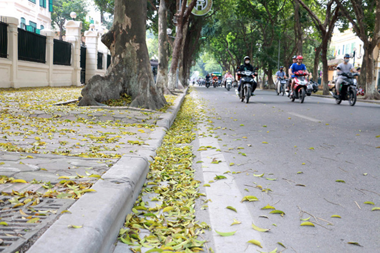 Mùa khô ở vùng duyên hải Nam Trung Bộ còn kéo dài