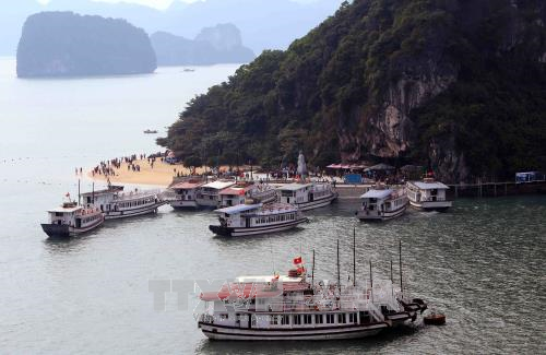 ngừng sử dụng sản phẩm nhựa dùng một lần trên vịnh Hạ Long