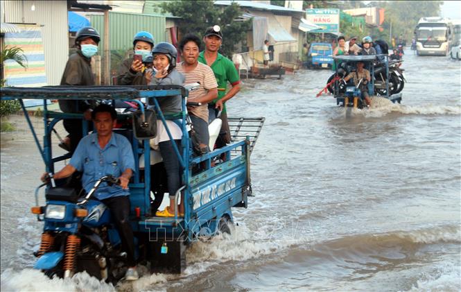 Hậu Giang chủ động ứng phó triều cường gây ngập lụt