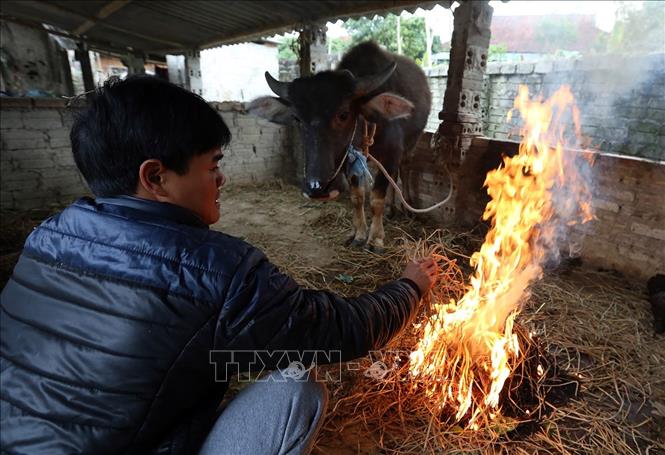 Ứng phó với rét đậm và gió mạnh trên biển