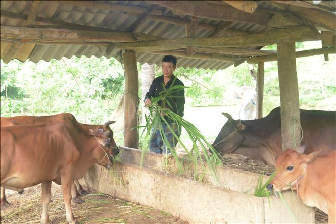 75 năm Ngày Thương binh - Liệt sỹ: Chung sức xây dựng bản làng giàu đẹp