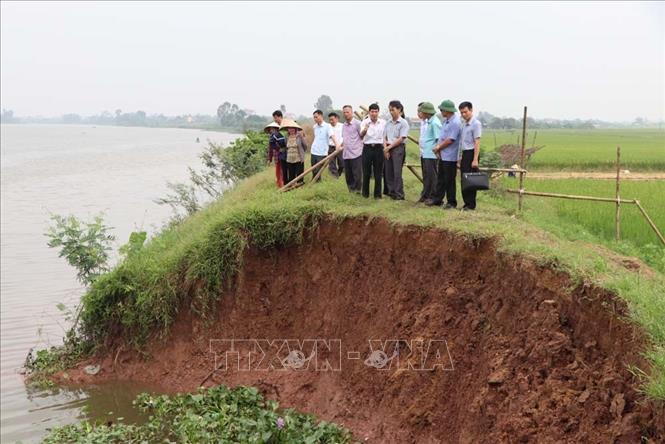 Hải Dương xuất hiện các sự cố đê điều nguy hiểm sau lũ