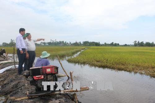 Chủ động ứng phó với gia tăng lũ ở Đồng bằng sông Cửu Long