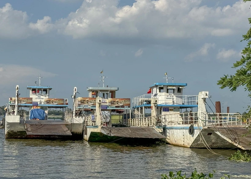 Người dân bức xúc khi bến đò ngang Cần Thơ-Vĩnh Long lúc hoạt động, lúc dừng | Vietnam+ (VietnamPlus)