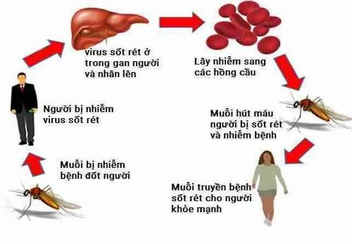 Sơn La đạt tiêu chí loại trừ bệnh sốt rét | Báo ảnh Dân tộc và Miền núi