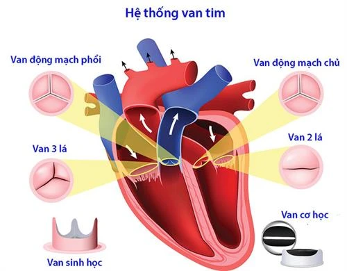 Cứu sống bệnh nhi mắc hội chứng Ehlers-Danlos hiếm gặp | Báo ảnh Dân tộc và Miền núi