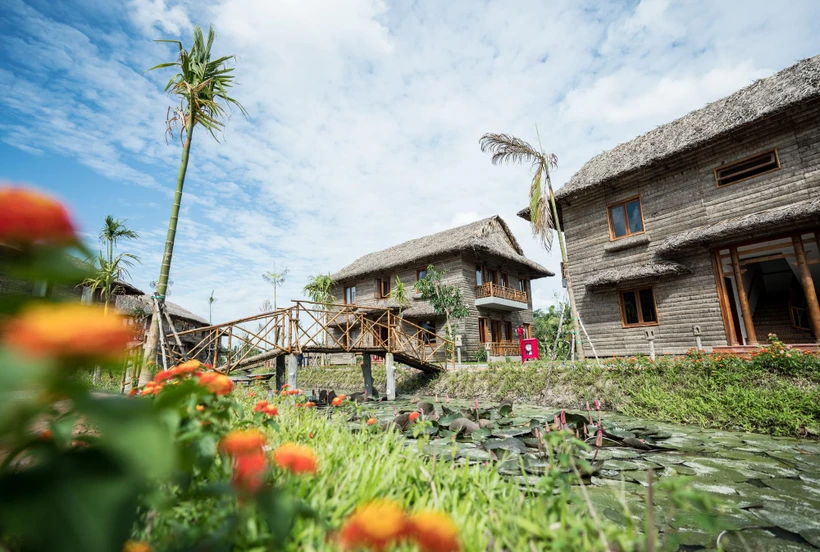 Homestay ‘cháy’ phòng, lữ hành lúng túng trước những ‘khe cửa hẹp’ | Vietnam+ (VietnamPlus)