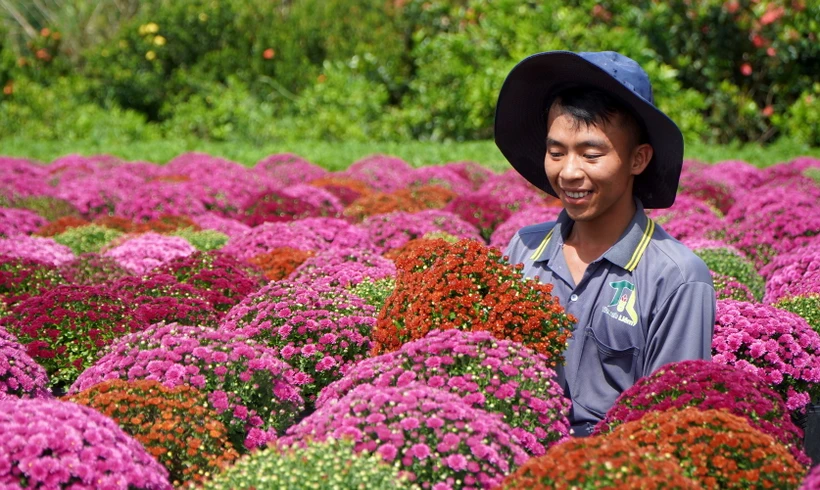 Người nông dân là nòng cốt để thực hiện chuyển đổi sản xuất xanh bền vững | Vietnam+ (VietnamPlus)