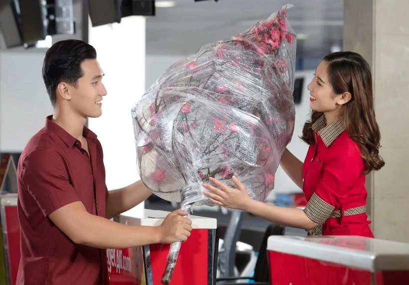 Vietjet nhận vận chuyển mai, đào dịp Tết Nguyên đán Quý Mão | Vietnam+ (VietnamPlus)