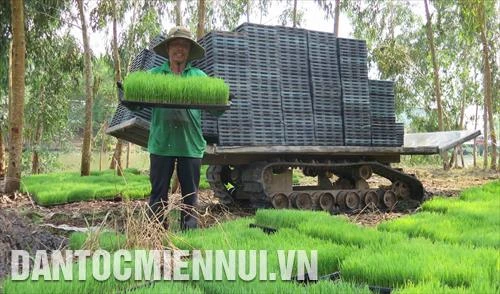 Giải bài toán quy hoạch để phát triển nông nghiệp bền vững | Báo ảnh Dân tộc và Miền núi