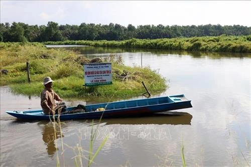 Kiên Giang thử nghiệm thành công mô hình nuôi ghép cá nâu với tôm sú thương phẩm | Báo ảnh Dân tộc và Miền núi