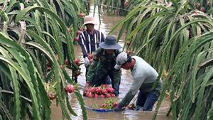 Dự báo thời tiết. Thời tiết TPHCM. Dự báo thời tiết TPHCM. Tin thời tiết. Bão