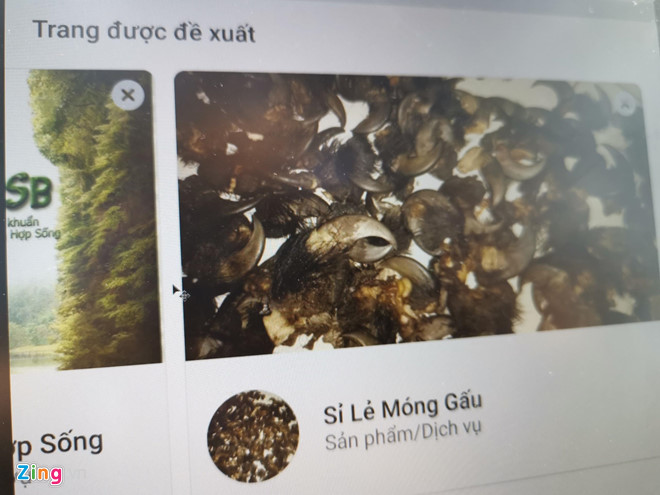 Facebook tiếp tay mua bán động vật quý ở Việt Nam