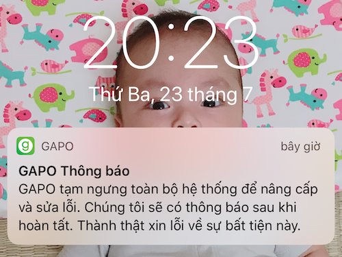 Gặp nhiều lỗi trong ngày đầu ra mắt, MXH Gapo thông báo bảo trì hệ thống