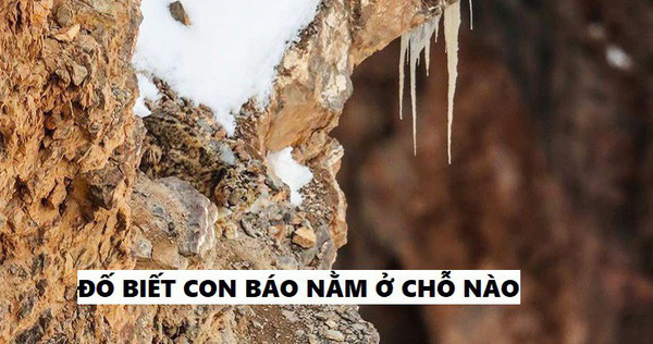 Chùm ảnh tìm điểm khác biệt khiến người tinh mắt nhất cũng phải nhăn trán