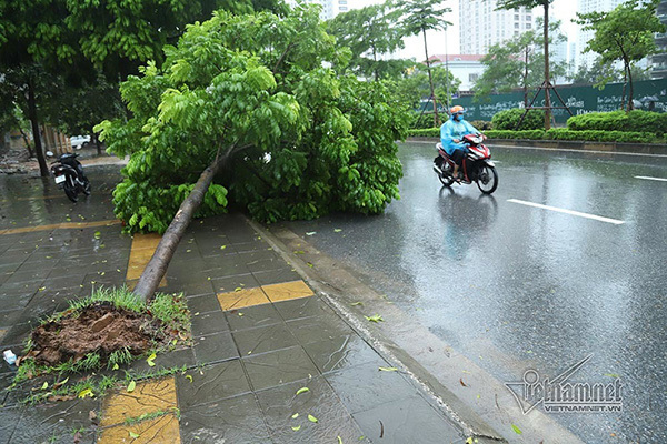 Dự báo thời tiết 27/8, Hà Nội mưa dông gió giật