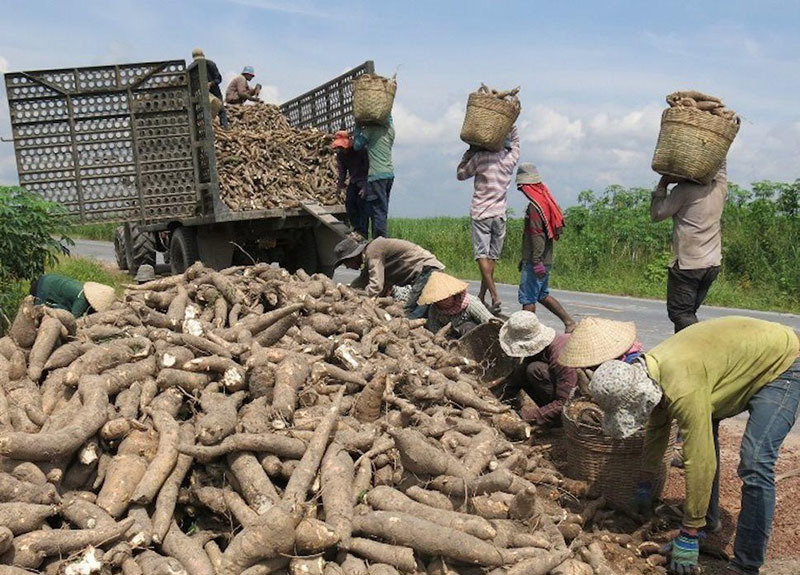 Lo phá sản hàng loạt, kêu cứu khẩn cấp lên Thủ tướng